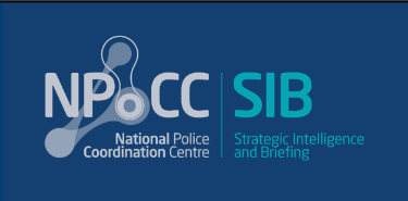 Strategic Intelligence Briefing Team logo