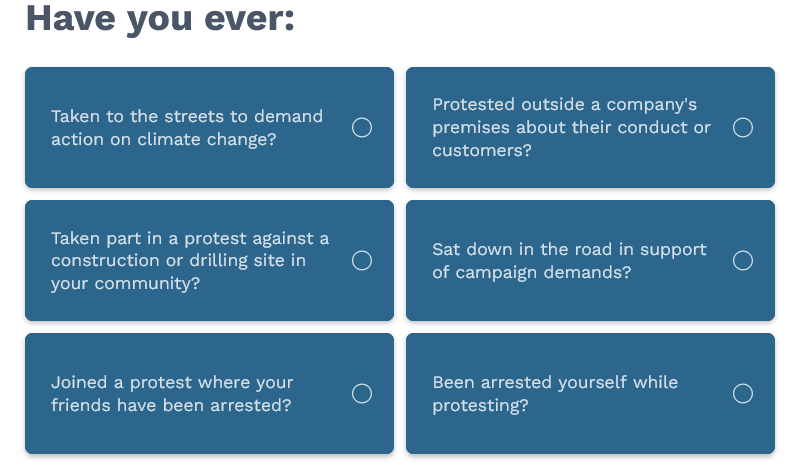 Netpol asked whether visitors to its website would be defind as a 'aggravated activist'?